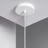 Arc Willow Lamp