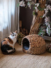 Brown Wicker Cat Basket