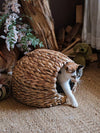 Brown Wicker Cat Basket