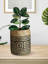 Large Willow Cache Pot