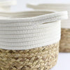 Old White Wicker Cache-Pot