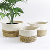 Old White Wicker Cache-Pot