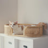 Rattan Willow Cat Basket