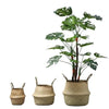 Woven Willow Planter