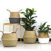 Woven Willow Planter
