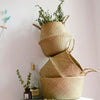 Woven Willow Planter
